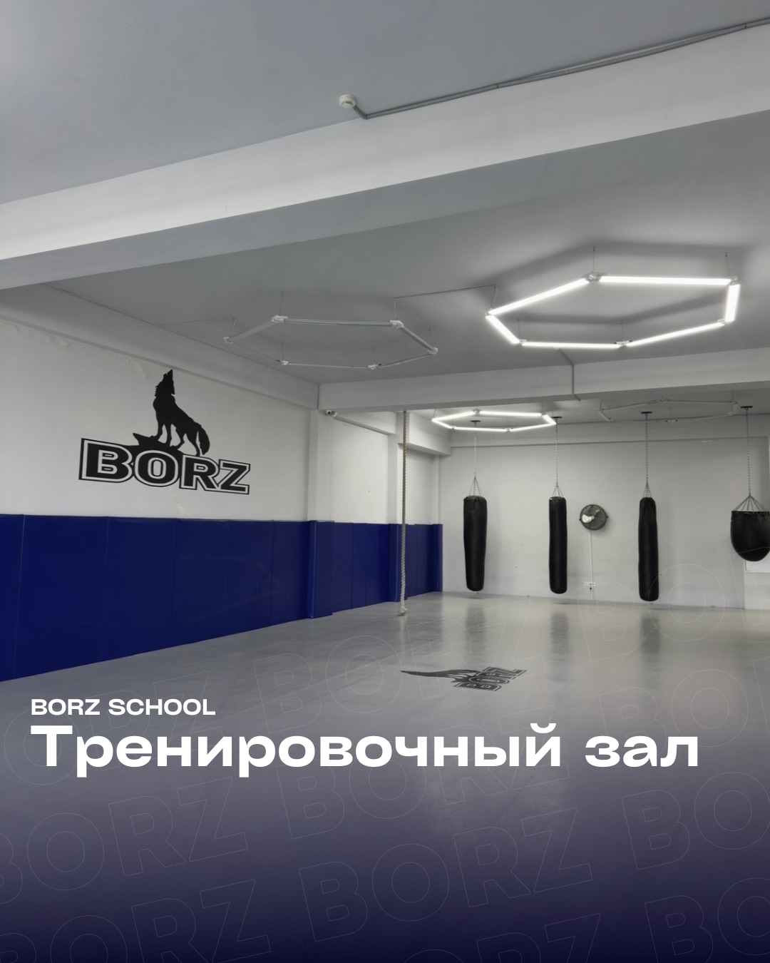 Зал BORZ на Айтматова 53п, фото 3